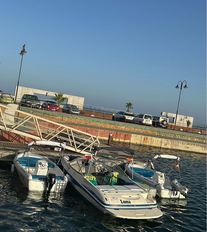 Sea Ride con patrón (gasolina no incluida)